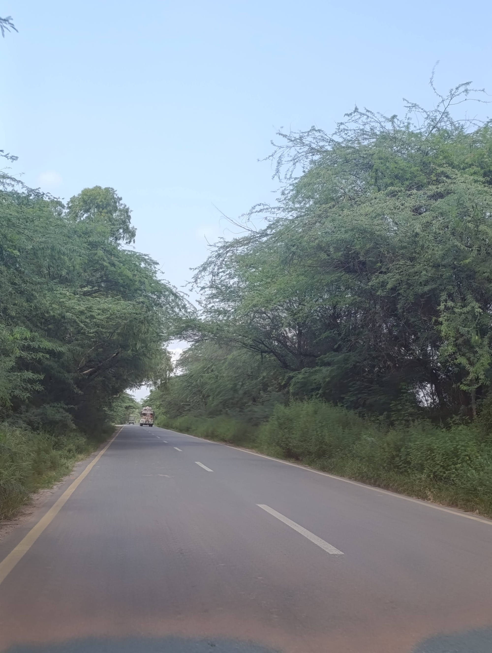 A Green Year in Chakwal District