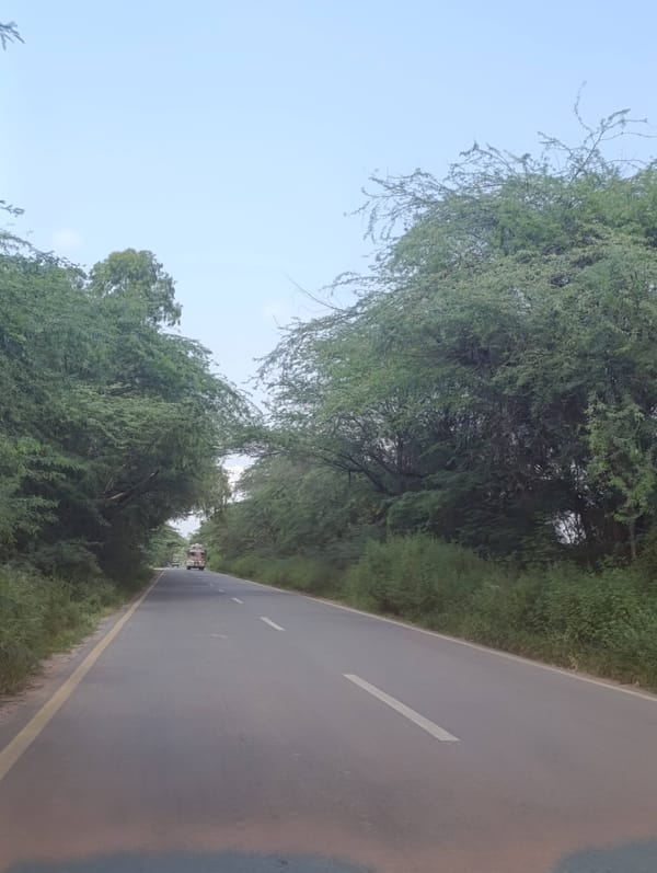 A Green Year in Chakwal District